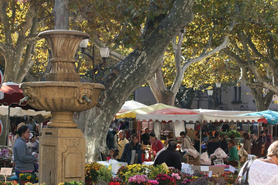 Camping Ceyreste : Marché Provencal Cassis