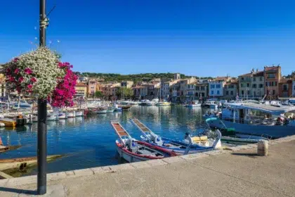 webp AdobeStock 173260102