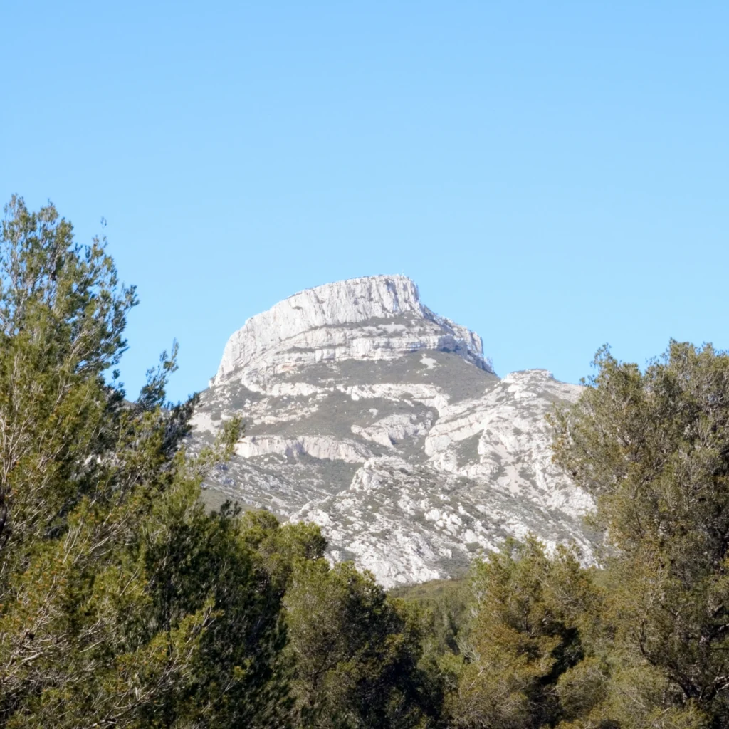 webp AdobeStock 2885992