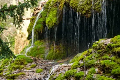 AdobeStock 1328568343