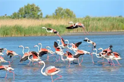 AdobeStock 277029336