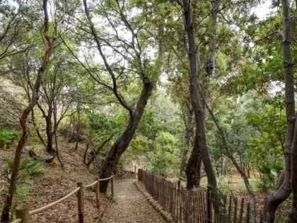 AdobeStock 378961374