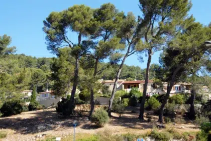 AdobeStock 400361744