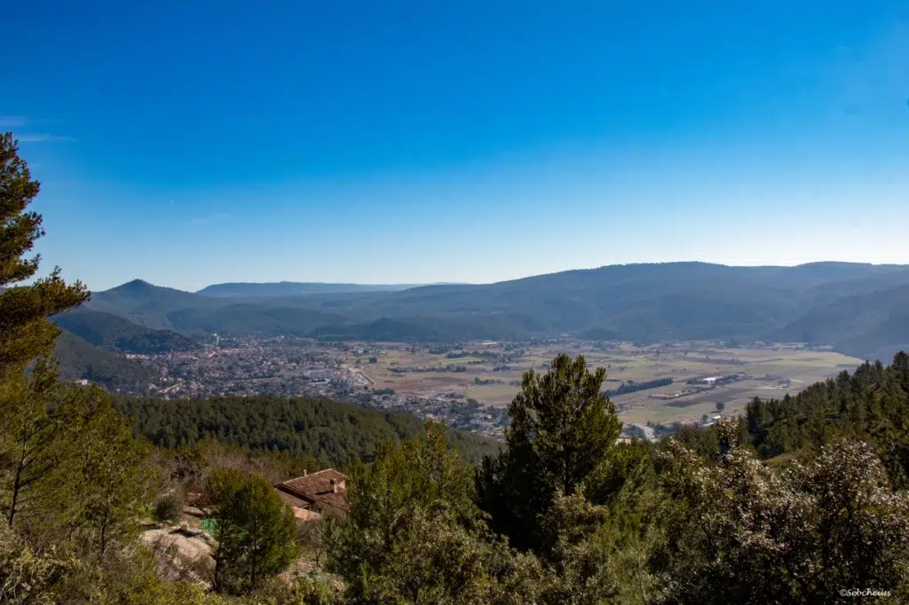 AdobeStock 490934534