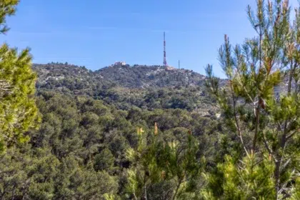 AdobeStock 501859733