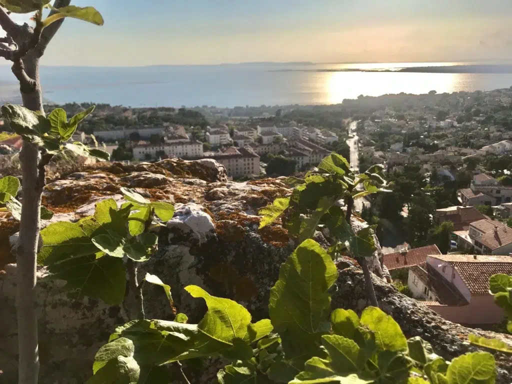 AdobeStock 512628098