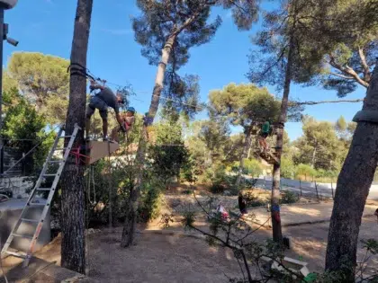 activites photo accrobranche